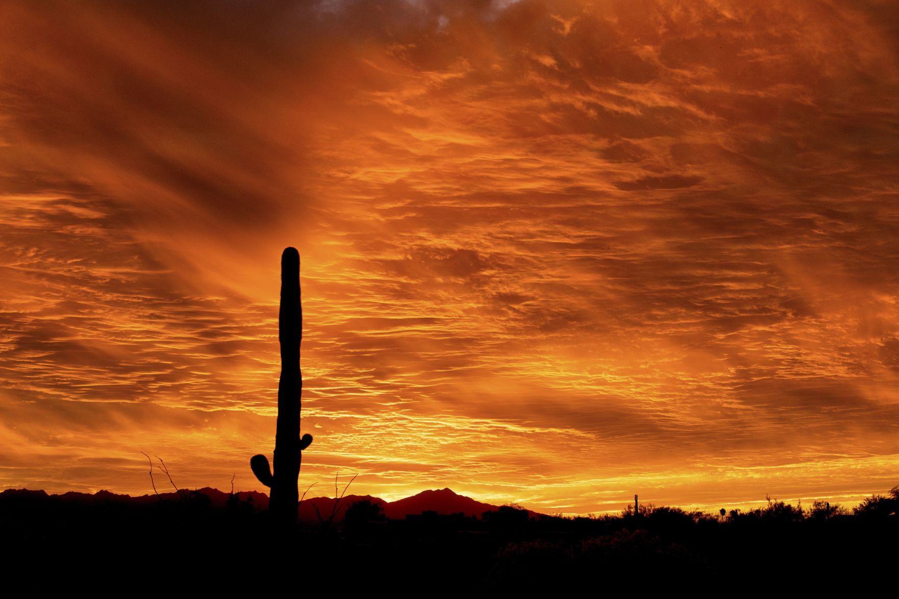Glowing Sunset from gathering rain clouds